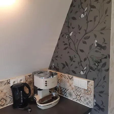 & Sauny Appartement Kudowa-Zdrój